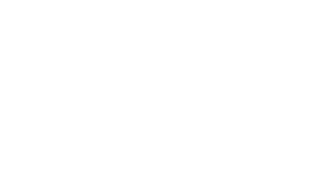 8586 logo white